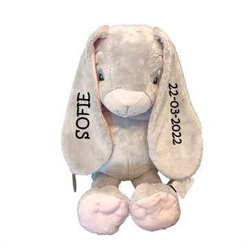 Kuscheltier Hase My Newborn Star mit Namen, Groß, My Teddy, Rosa, 2 Ohren Bestickung